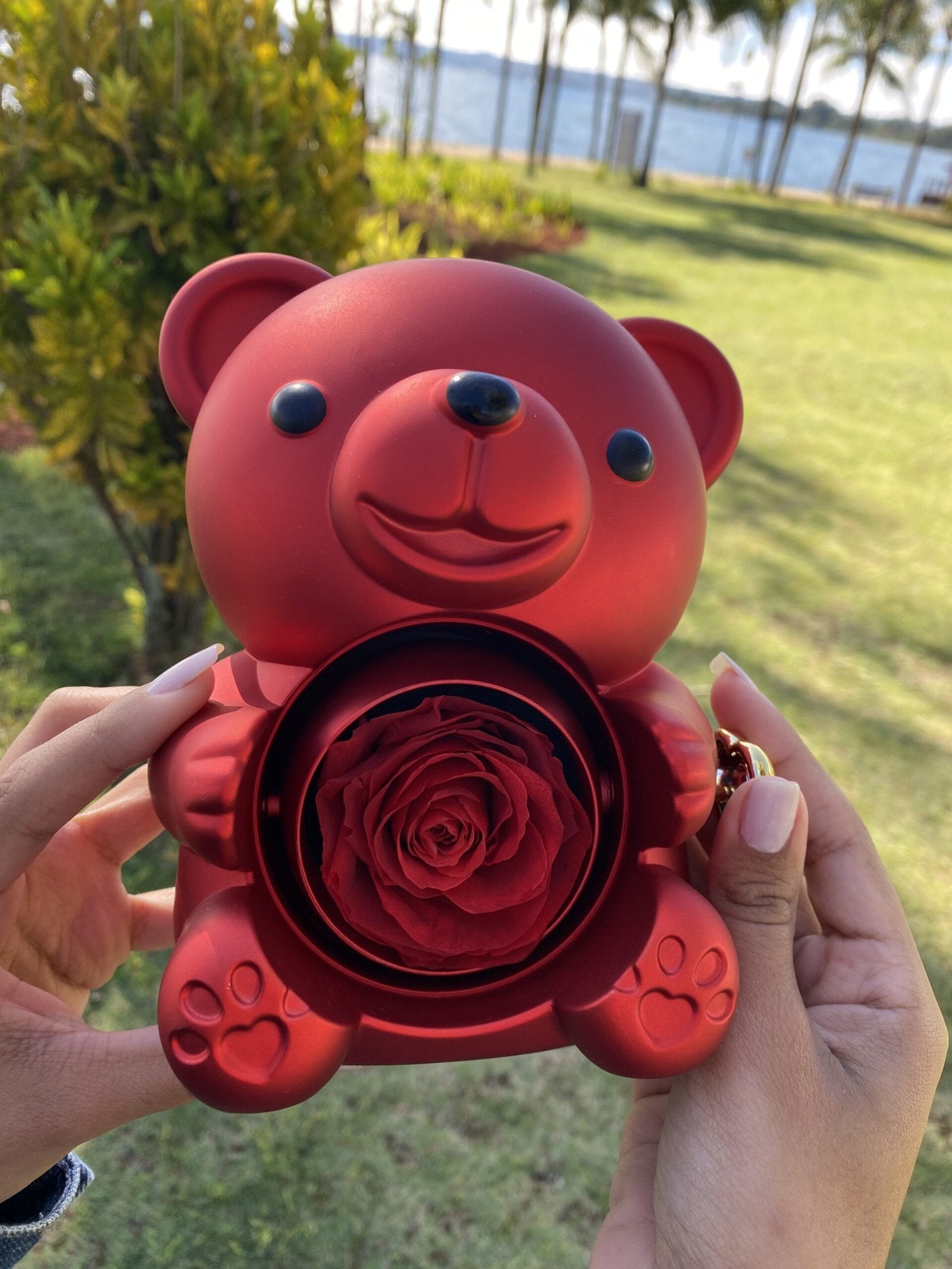 Colar Dueto de Amor & Urso com Rosa Eternizada + Nomes Gravados! 🧸
