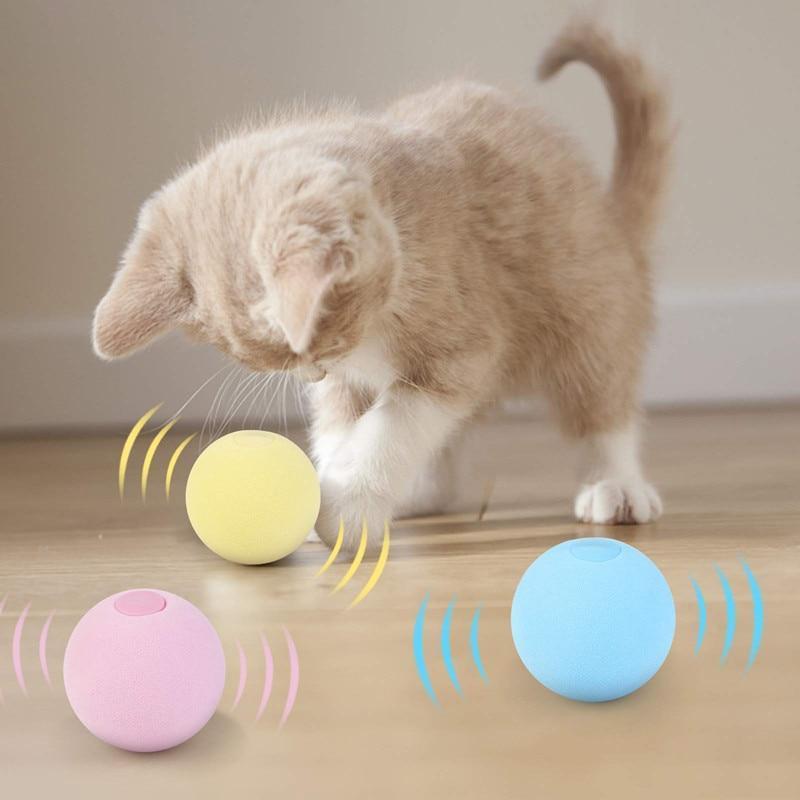 Bolinhas Para Pets - Pet Fun - Infinity Express